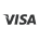 VISA logo icon| Secured Payment Gateway| Encrypted